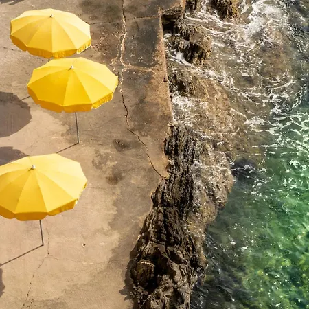 فندق Hoteliere Le Provencal A Giens - Bord De