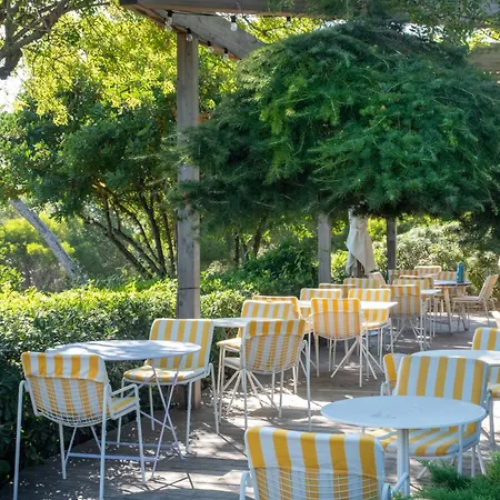 Hoteliere Le Provencal A Giens - Bord De