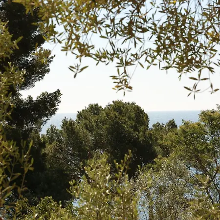 Résidence Le Provençal