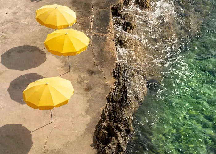 فندق Hoteliere Le Provencal A Giens - Bord De