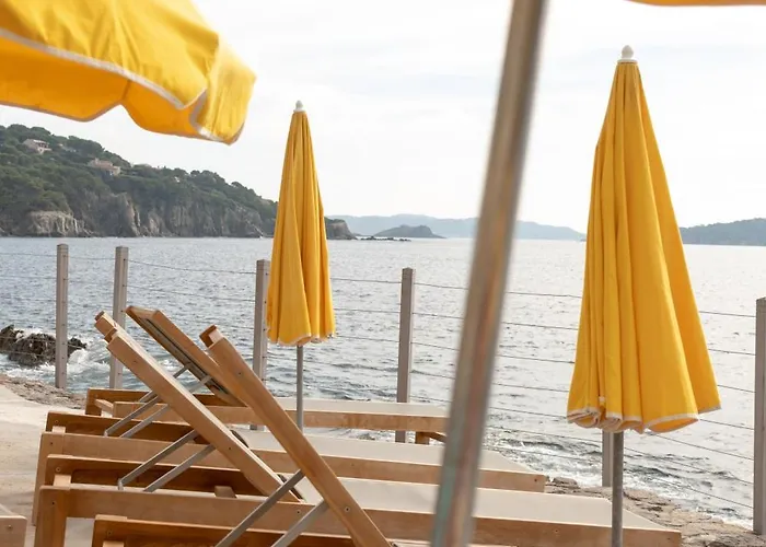 Hoteliere Le Provencal A Giens - Bord De فندق