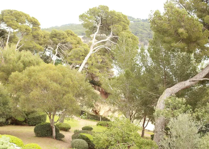 Szálloda Hoteliere Le Provencal A Giens - Bord De *