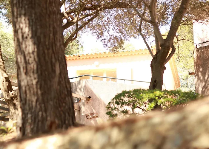 Hoteliere Le Provencal A Giens - Bord De فندق Hyères