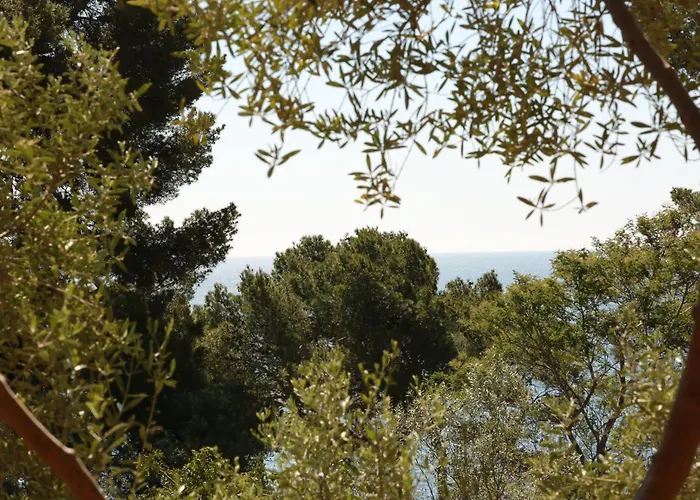 Résidence Le Provençal