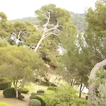 Hotel Hoteliere Le Provencal A Giens - Bord De *