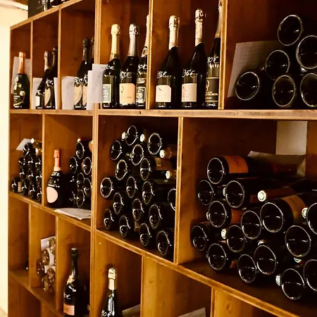 Hotel Hoteliere Le Provencal A Giens - Bord De Hyeres