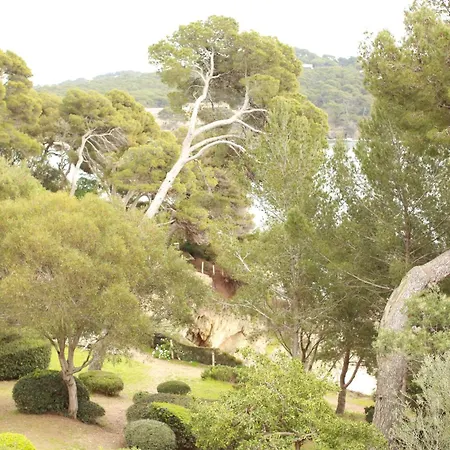 Отель Hoteliere Le Provencal A Giens - Bord De Йер