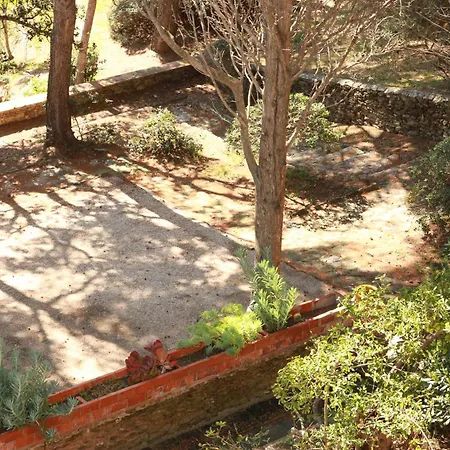 Отель Hoteliere Le Provencal A Giens - Bord De *
