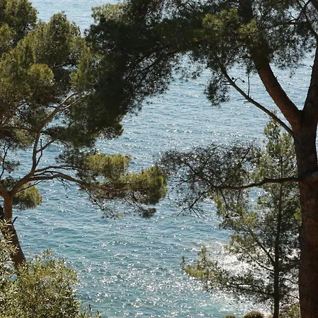 Hoteliere Le Provencal A Giens - Bord De * Йер