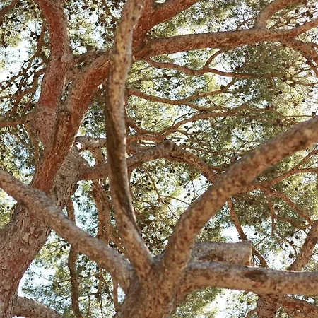 Résidence Le Provençal *