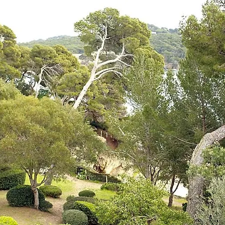 Hoteliere Le Provencal A Giens - Bord De Hotel